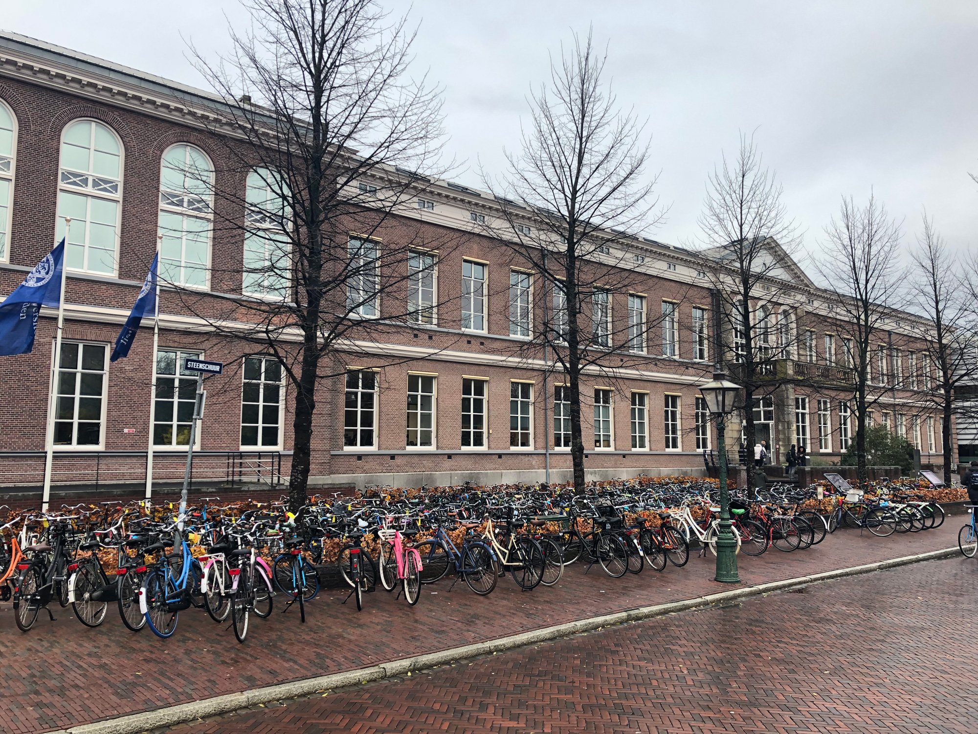 Foto-leiden-universiteit Leiden universiteit