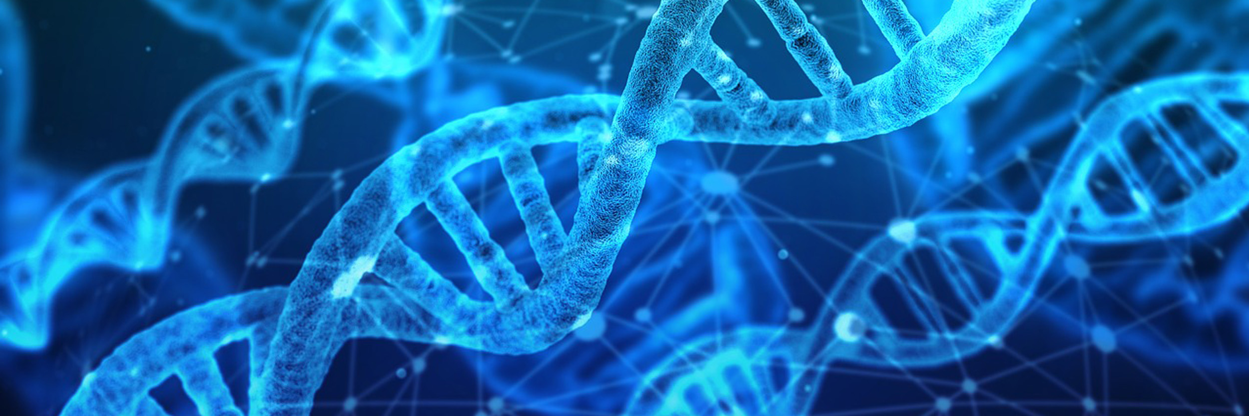 DNA-structuren-LUMICKS-aestate