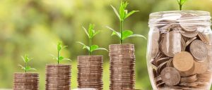 Investeren | Aestate Geld plantjes investeren groei