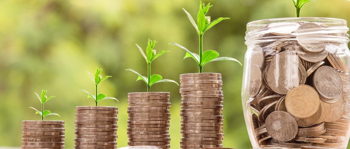 Geld plantjes investeren groei