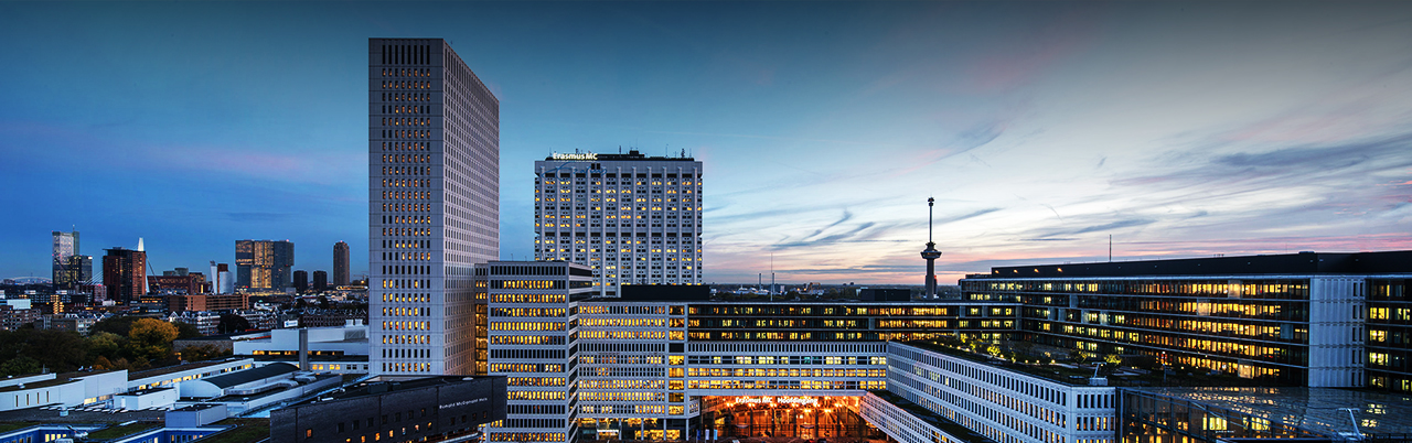 Rotterdam skyline eerasmus mc