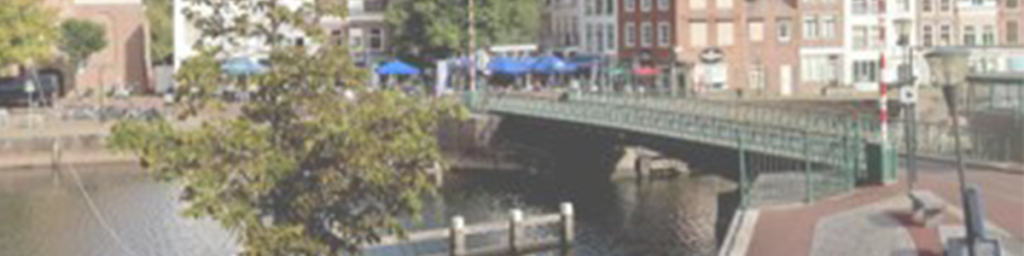 voorne_Factsheet_wide voorne_Factsheet_wide