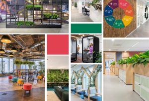 MVO Nederland | Aestate