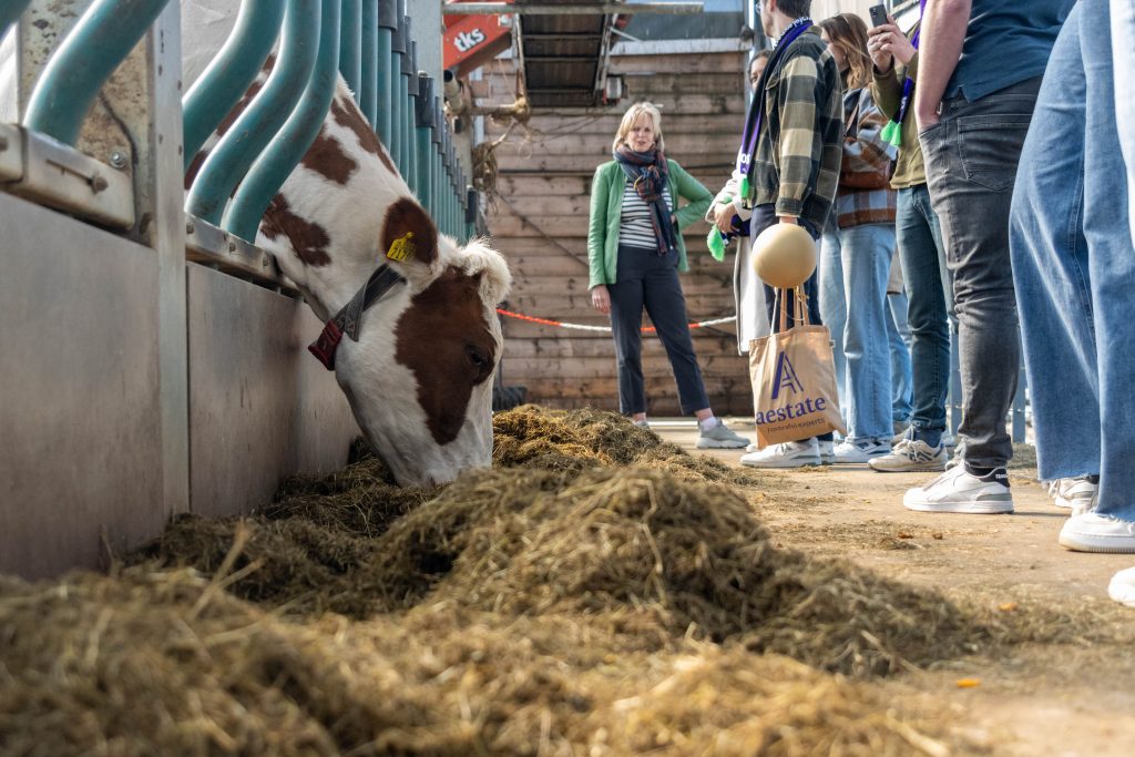 Aestate 25 jaar Aestate 25 jaar