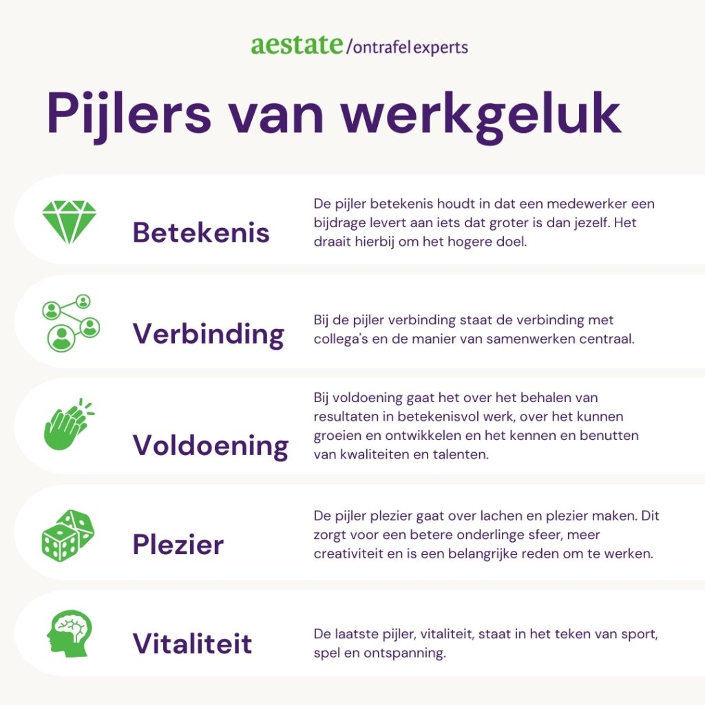 Pijlers van werkgeluk